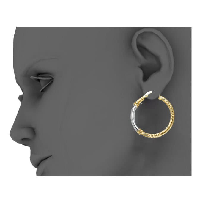 14K Two Tone Gold 2.5mm Rope Hoop Earrings - Image 3