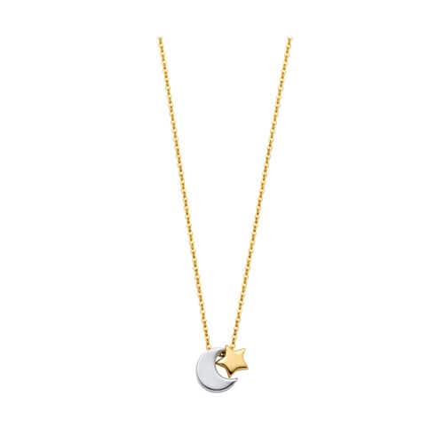 14K Two Tone Gold Moon & Star Necklace - 17+1"