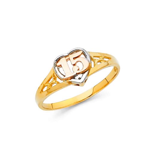 14K Tri Color Gold 15 Years Ring
