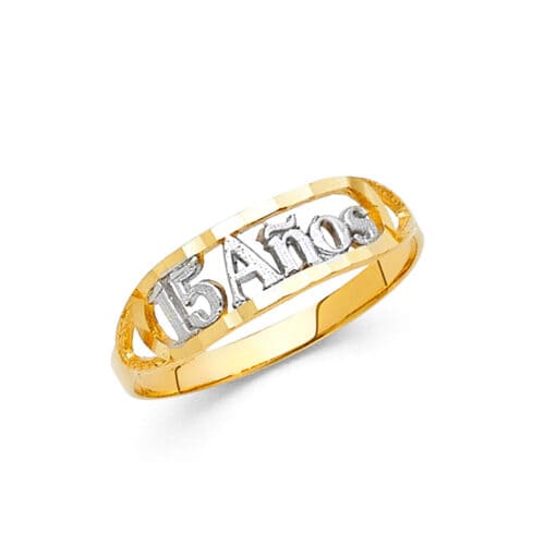 14K Two Tone Gold 15 Years Ring