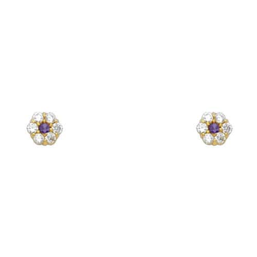 14K Yellow Gold Flower Cubic Zirconia Stud Earrings w/Screw(FEB)