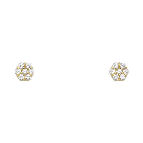 14K Yellow Gold Flower Cubic Zirconia Stud Earrings w/Screw(APR)