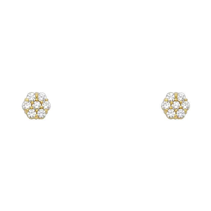 14K Yellow Gold Flower Cubic Zirconia Stud Earrings w/Screw(APR)