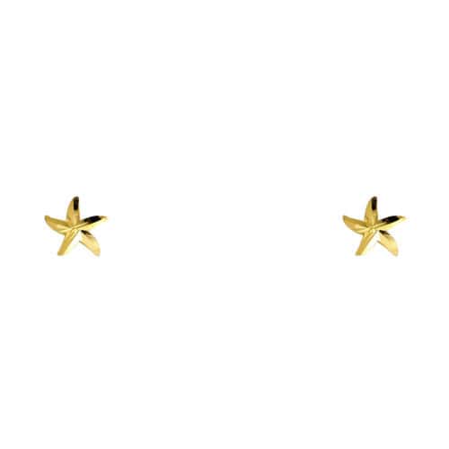 14K Yellow Gold Sea Star Stud Earrings w/Screw